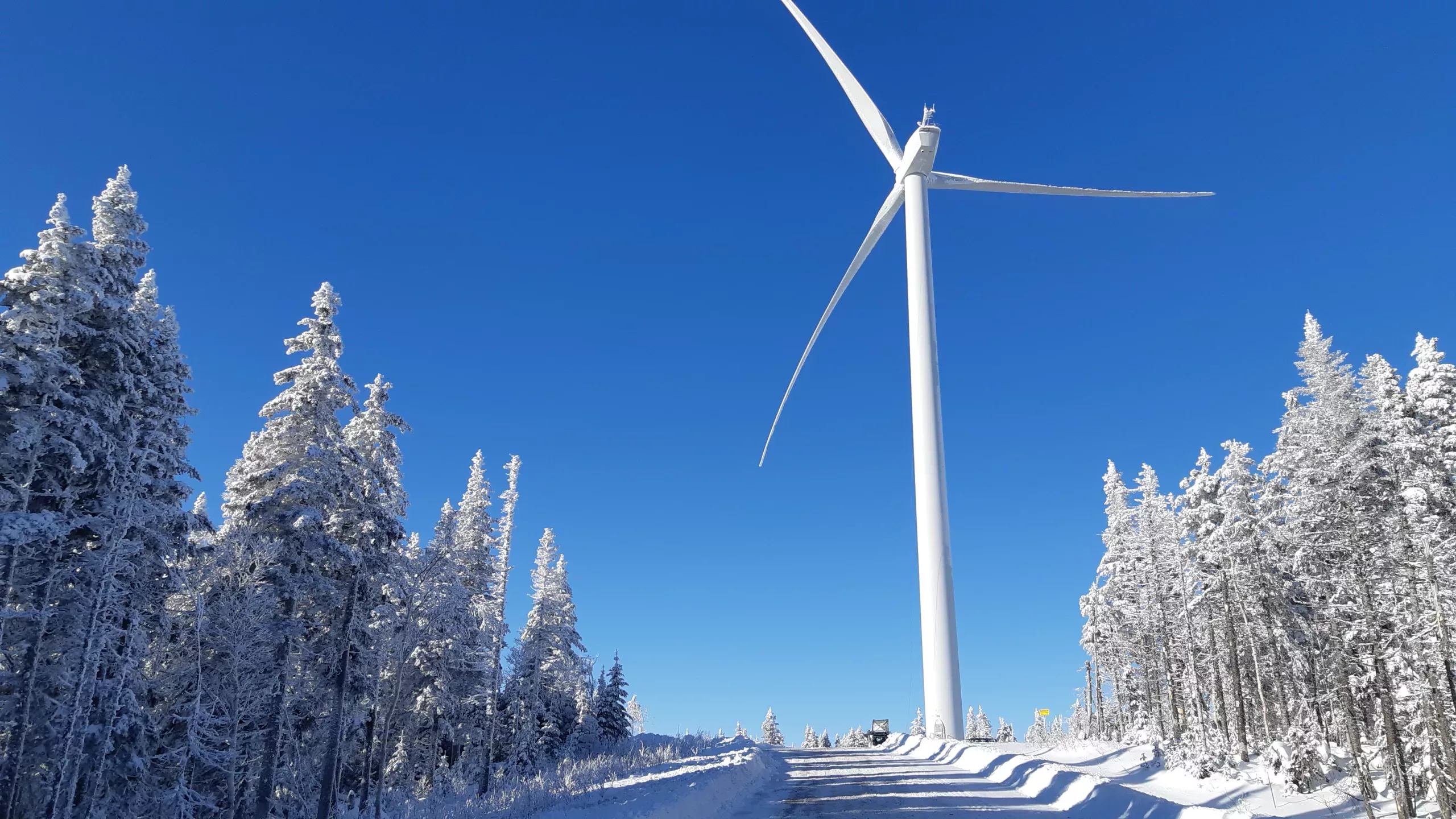 Wind turbine in wintery conditions - Borealis Wind