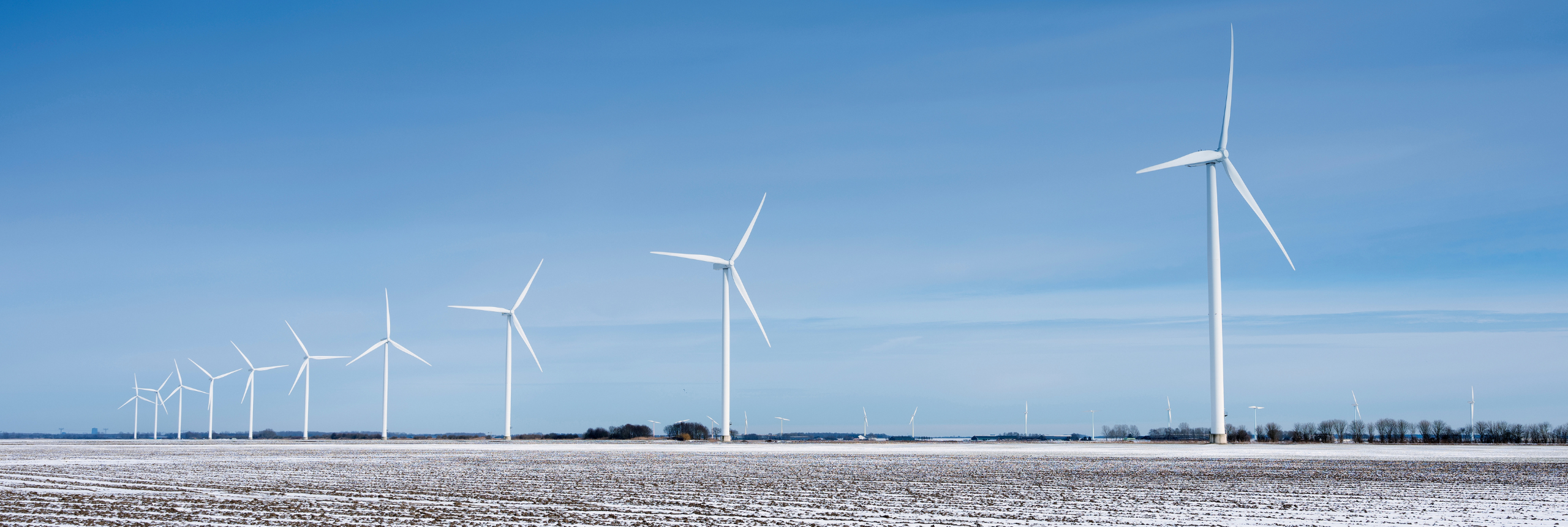 A field of wind turbines in a cold climate with ice protection systems