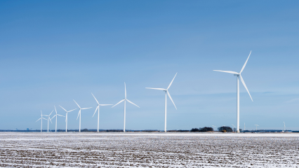 Field of wind turbines