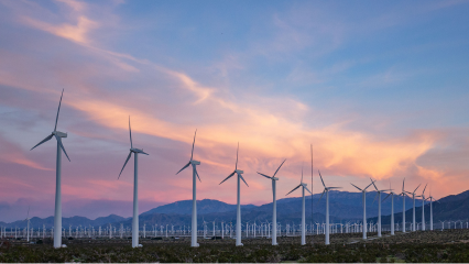 Service models for wind farm assets