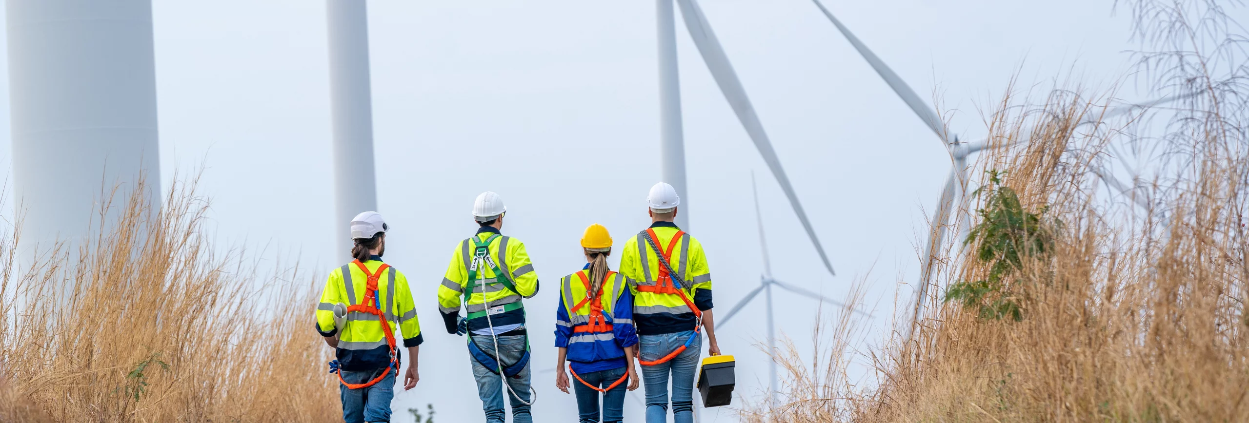 Wind farm employees in a field of wind turbines, 1