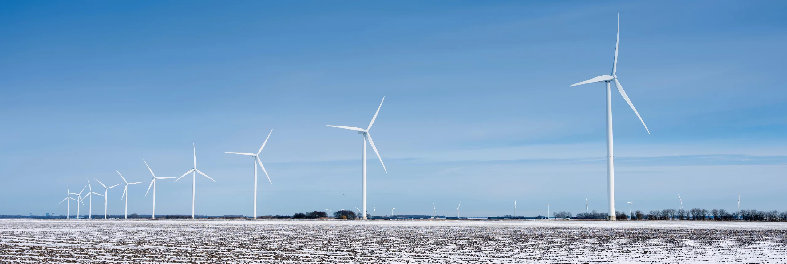 Field of wind turbines