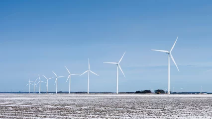 Field of wind turbines
