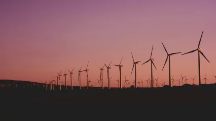 Row of wind turbines at sunset