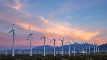 Service models for wind farm assets