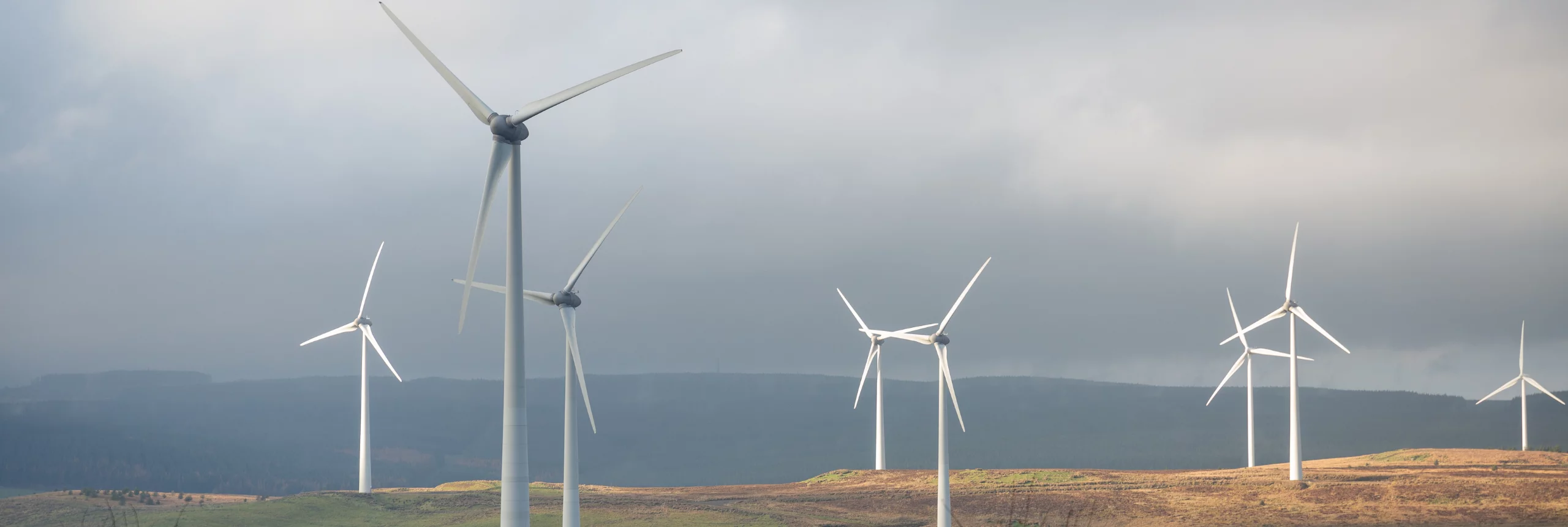 A field of wind turbines in the fog, 1