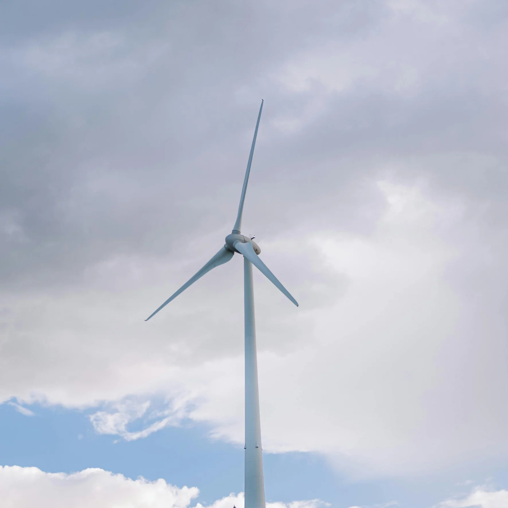 Wind powe generator in the spring